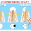 hikaku4.gif