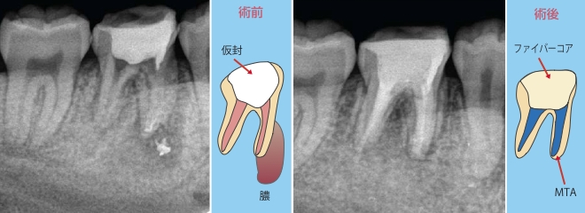 case8.pdf